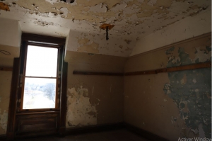 Mold remediation Mold remediation