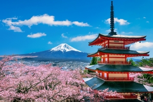 Tokyo Internship Life Unveiled Tokyo Internship Life Unveiled